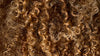 How To Identify Your Curl Pattern – ANSWR - UK