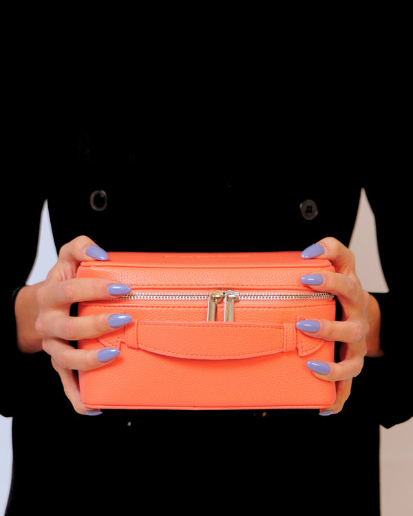 Beauty Bento Vanity Case