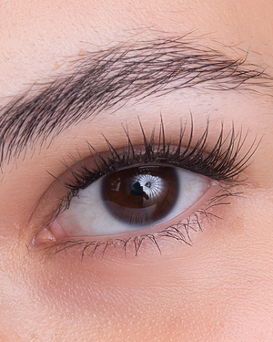 At-home lash extensions essentials kit